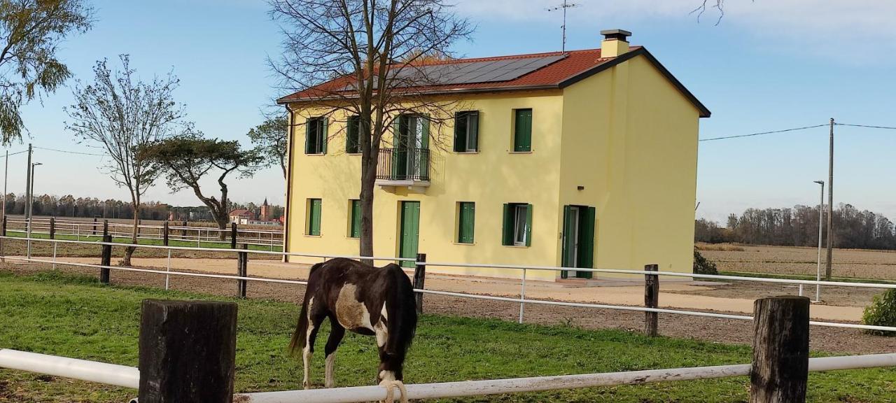 카오를레 Brussa Horse Oasi 빌라 외부 사진