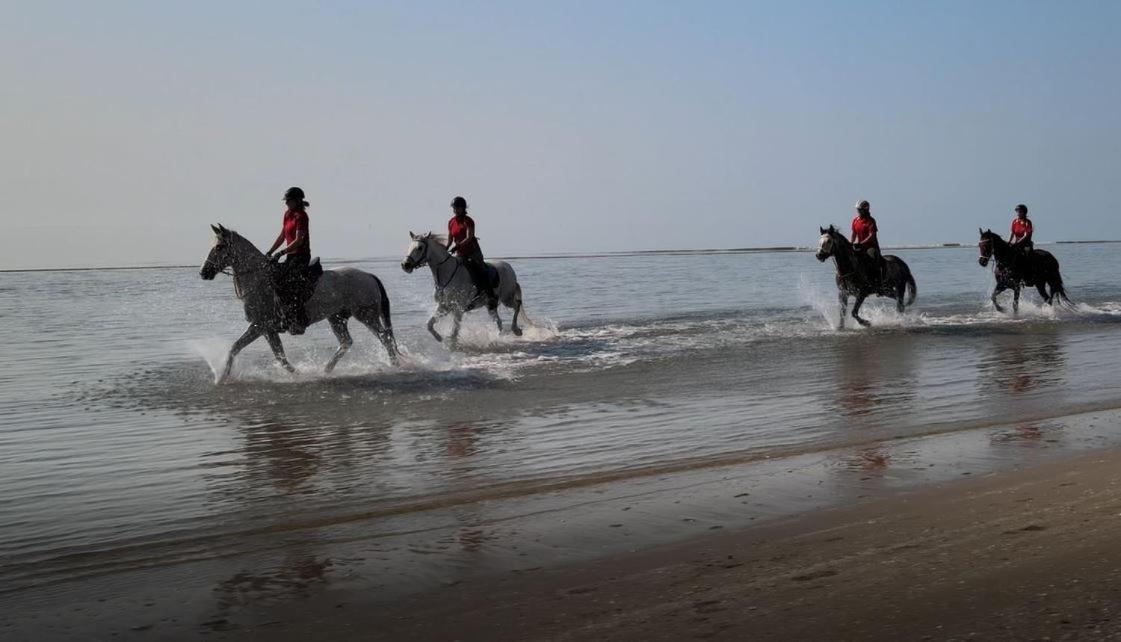 카오를레 Brussa Horse Oasi 빌라 외부 사진